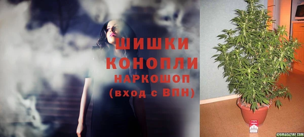 героин Богданович
