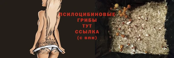spice Баксан