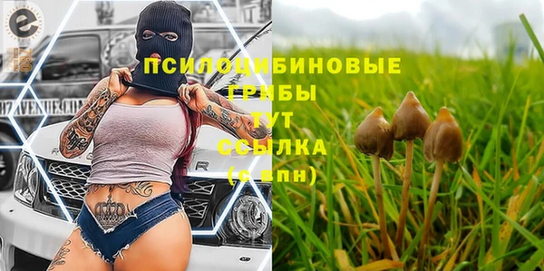 синтетический гашиш Балахна
