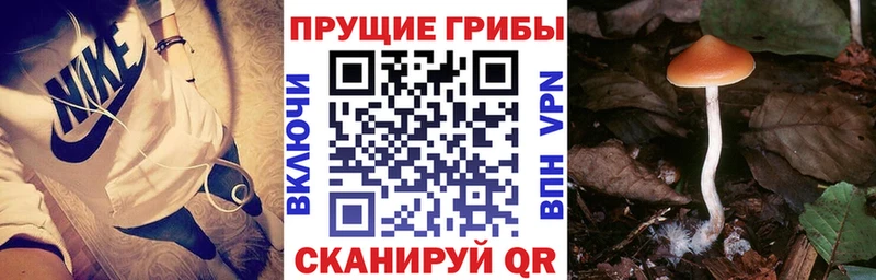 Псилоцибиновые грибы мухоморы Армавир