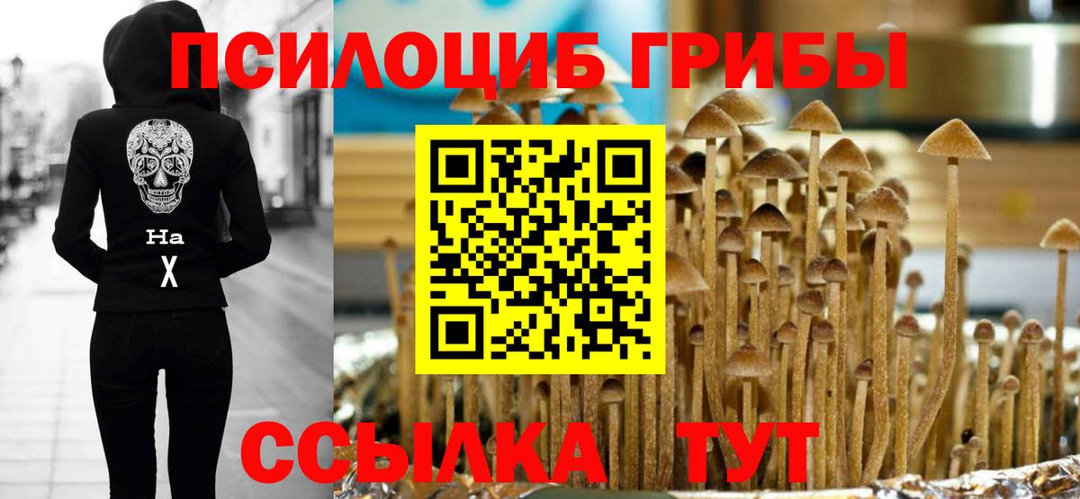 Псилоцибиновые грибы ЛСД Армавир